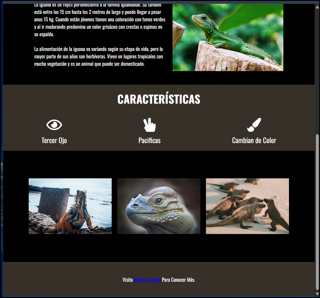 Screenshot de Proyecto Iguana